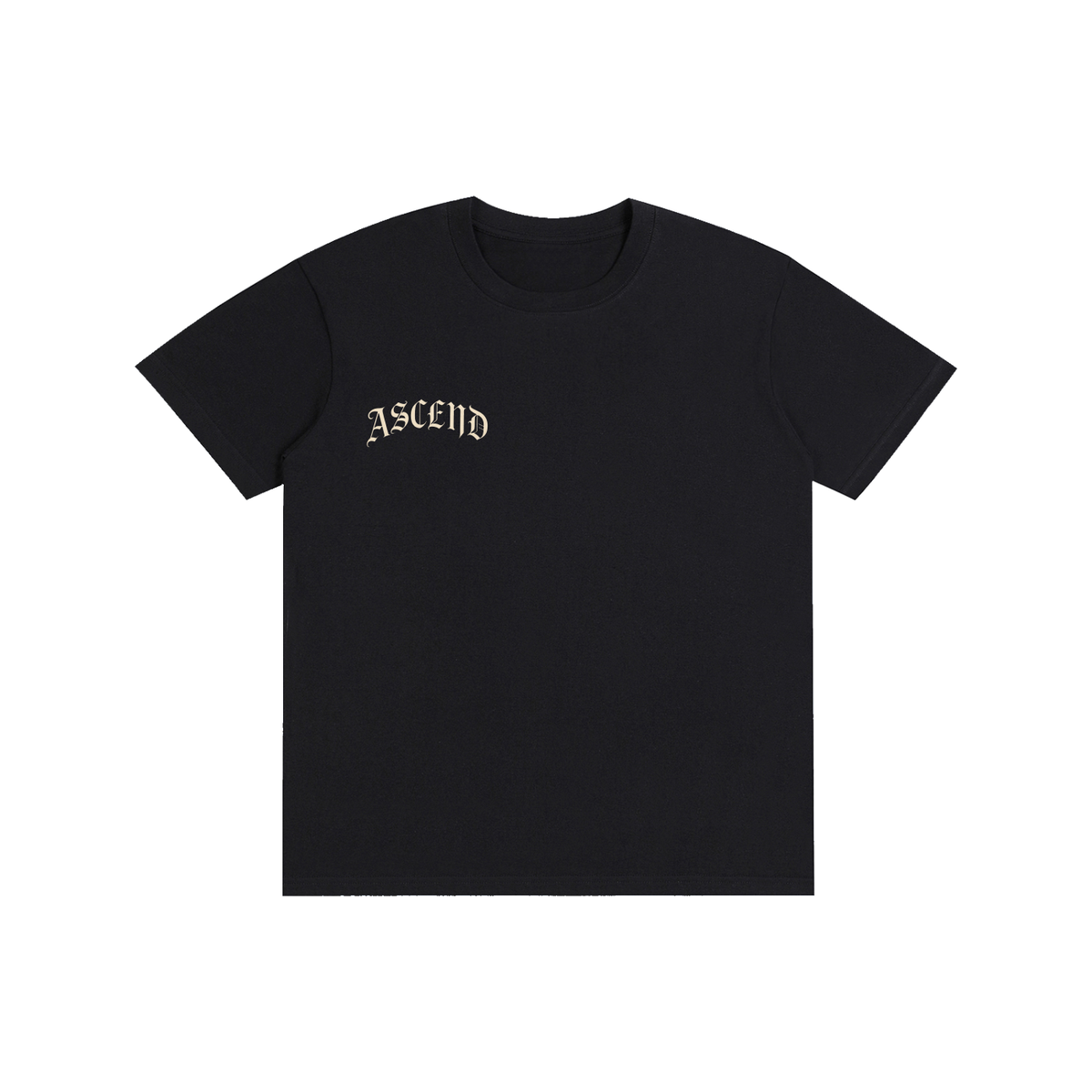 ASCEND Pure cotton T-shirt